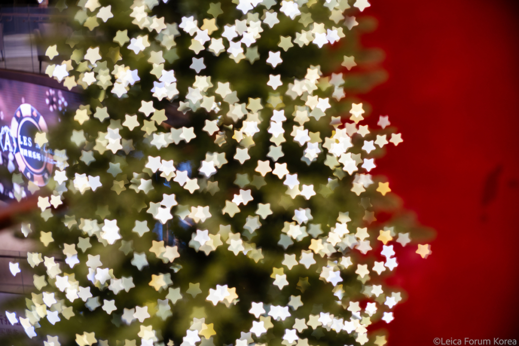 leica-sl2s-28200-jeju-1-102