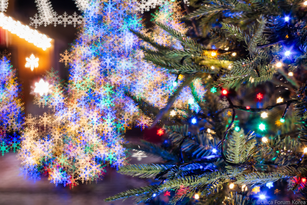 leica-sl2s-28200-jeju-1-106