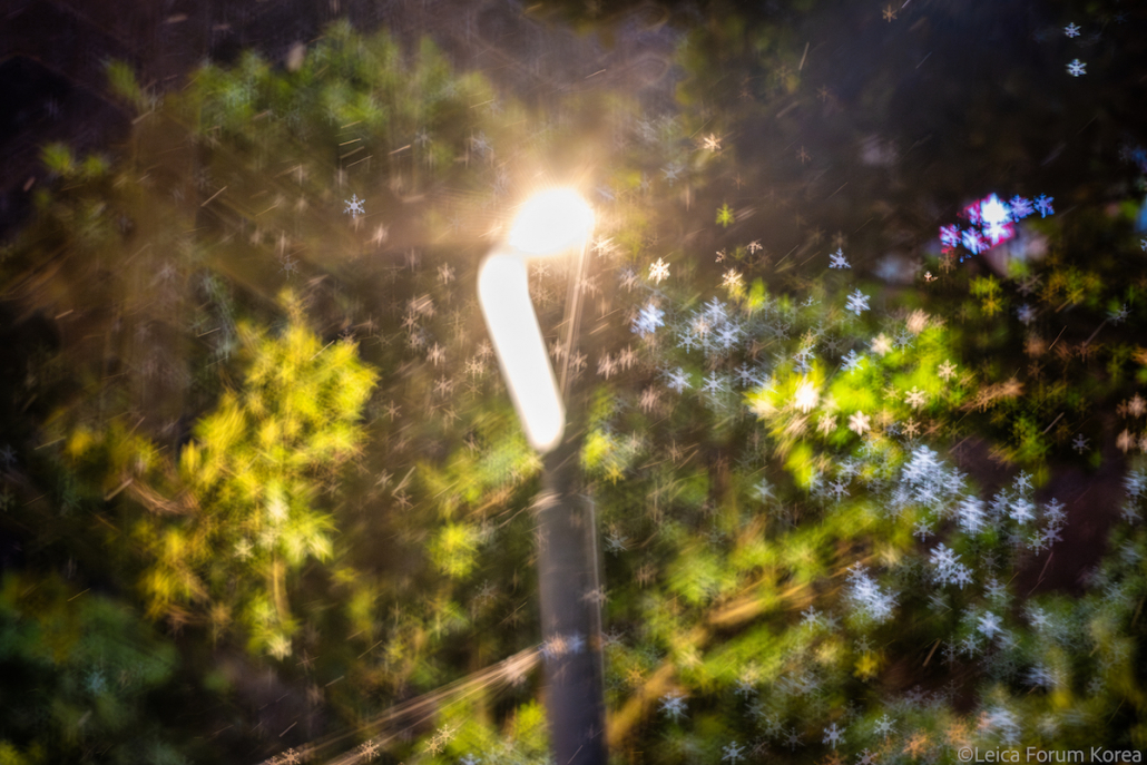 leica-sl2s-28200-jeju-1-108