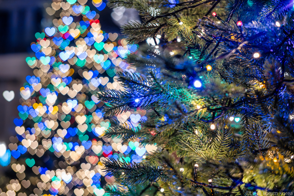 leica-sl2s-28200-jeju-1-112