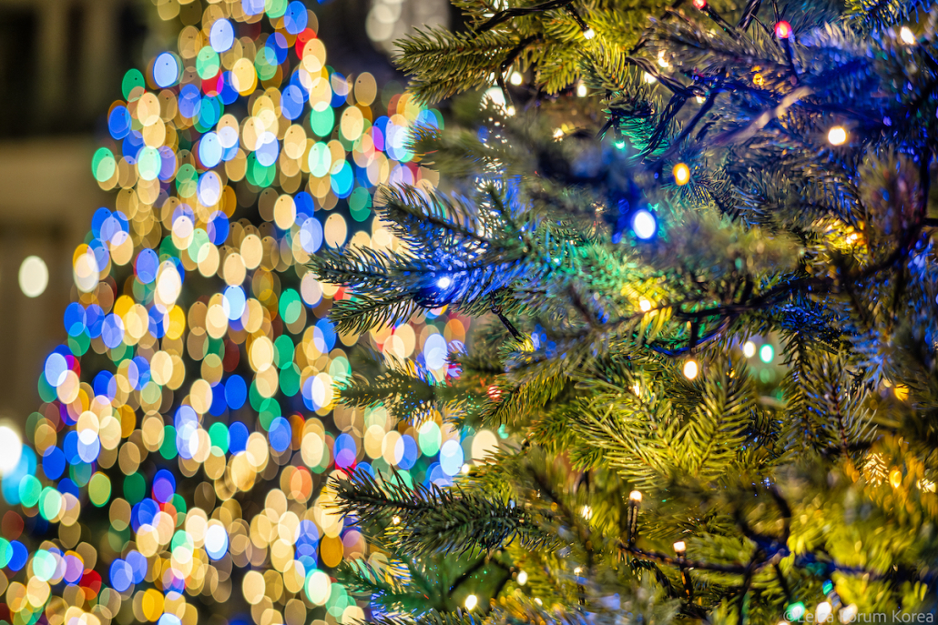 leica-sl2s-28200-jeju-1-113