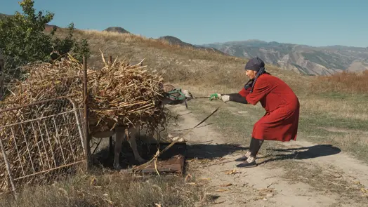다미르 파이줄린 - Preserving Nature as Preserving Ourselves