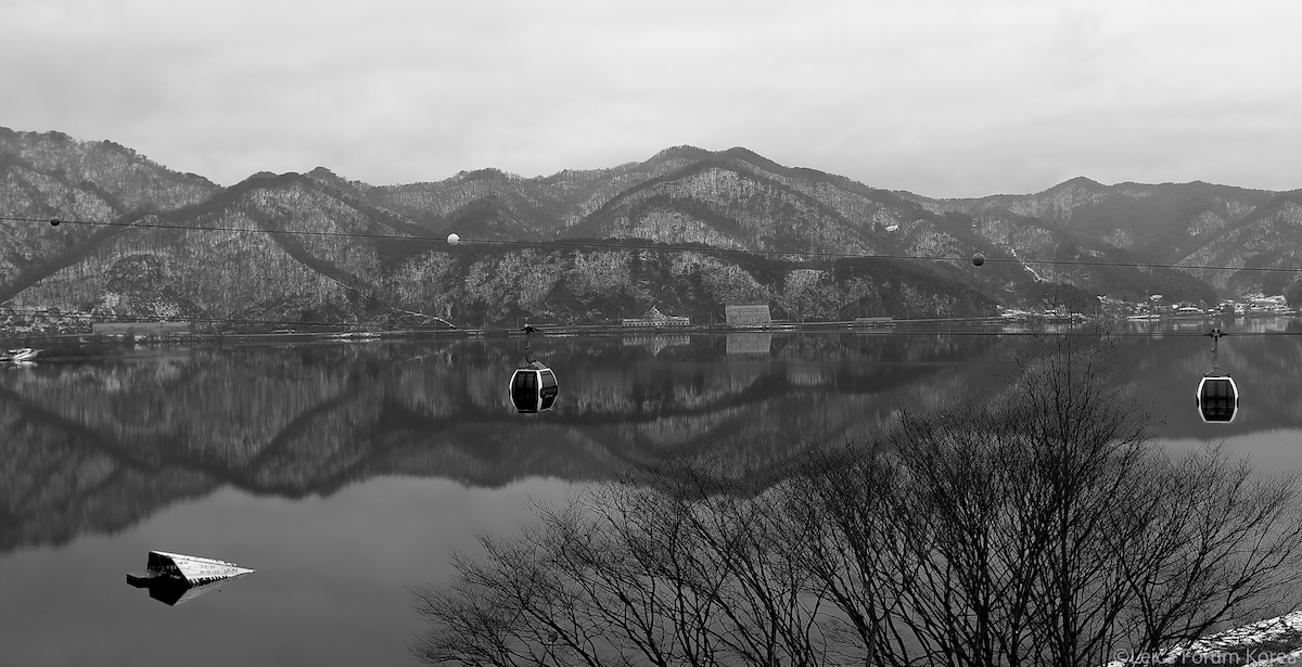 x1-20251224-1-5.jpg