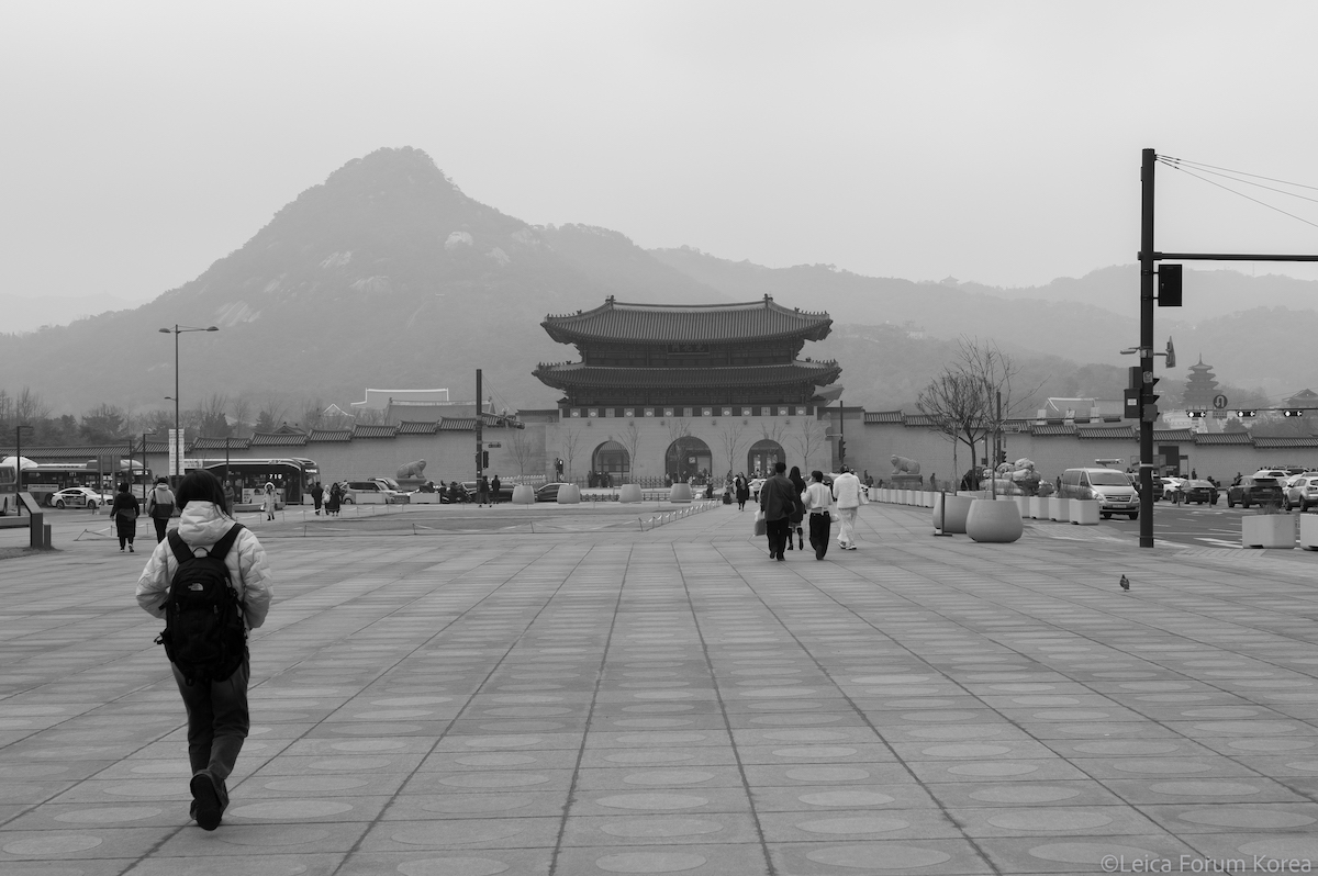 M9mono-rigid50f2-1-3.jpg