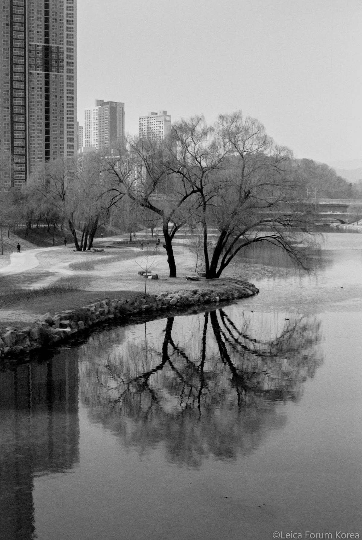Leica-S-007-1-21.jpg