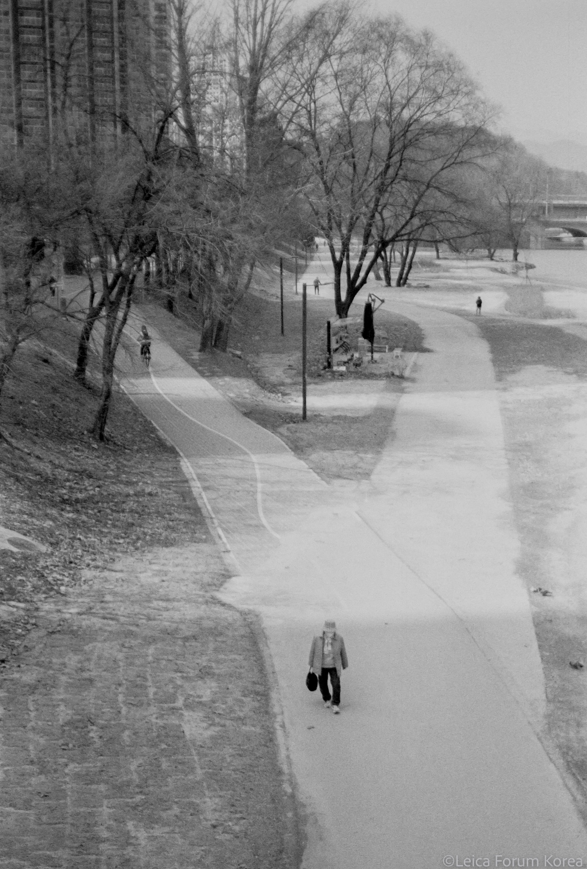 Leica-S-007-1-15.jpg