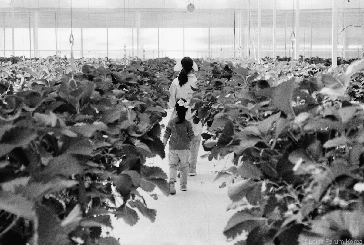 Leica-AFC1-foma400-1-27.jpg