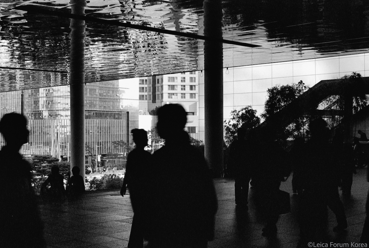 leica-R7-cron50f2-1-23.jpg