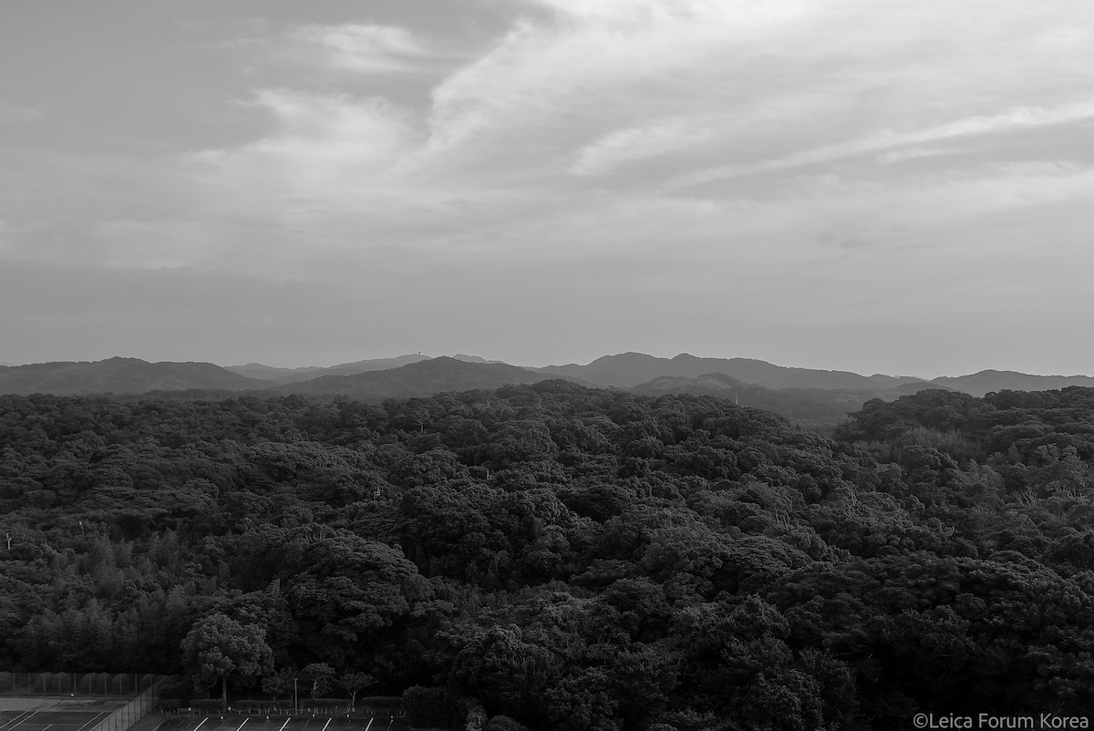 Leica-X1-fukuoka-20260717-bw-1-50.jpg