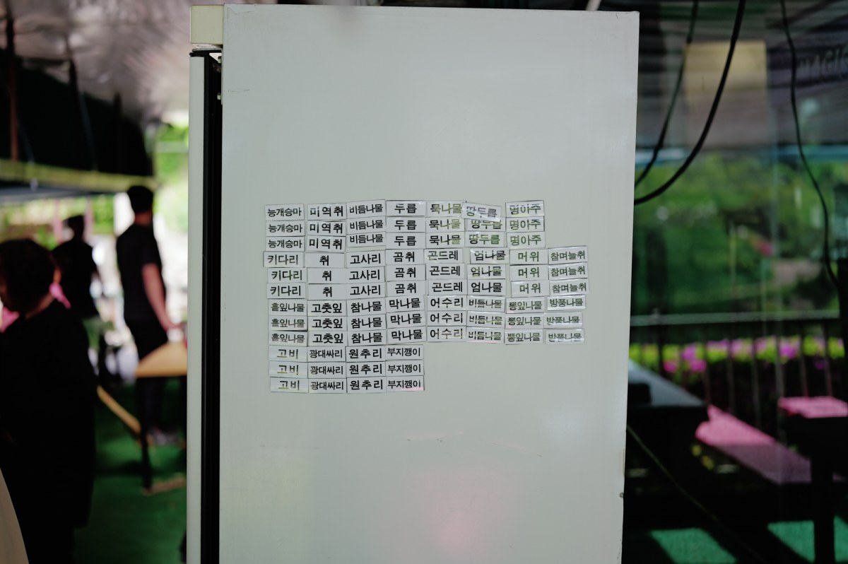 L1002800.jpg