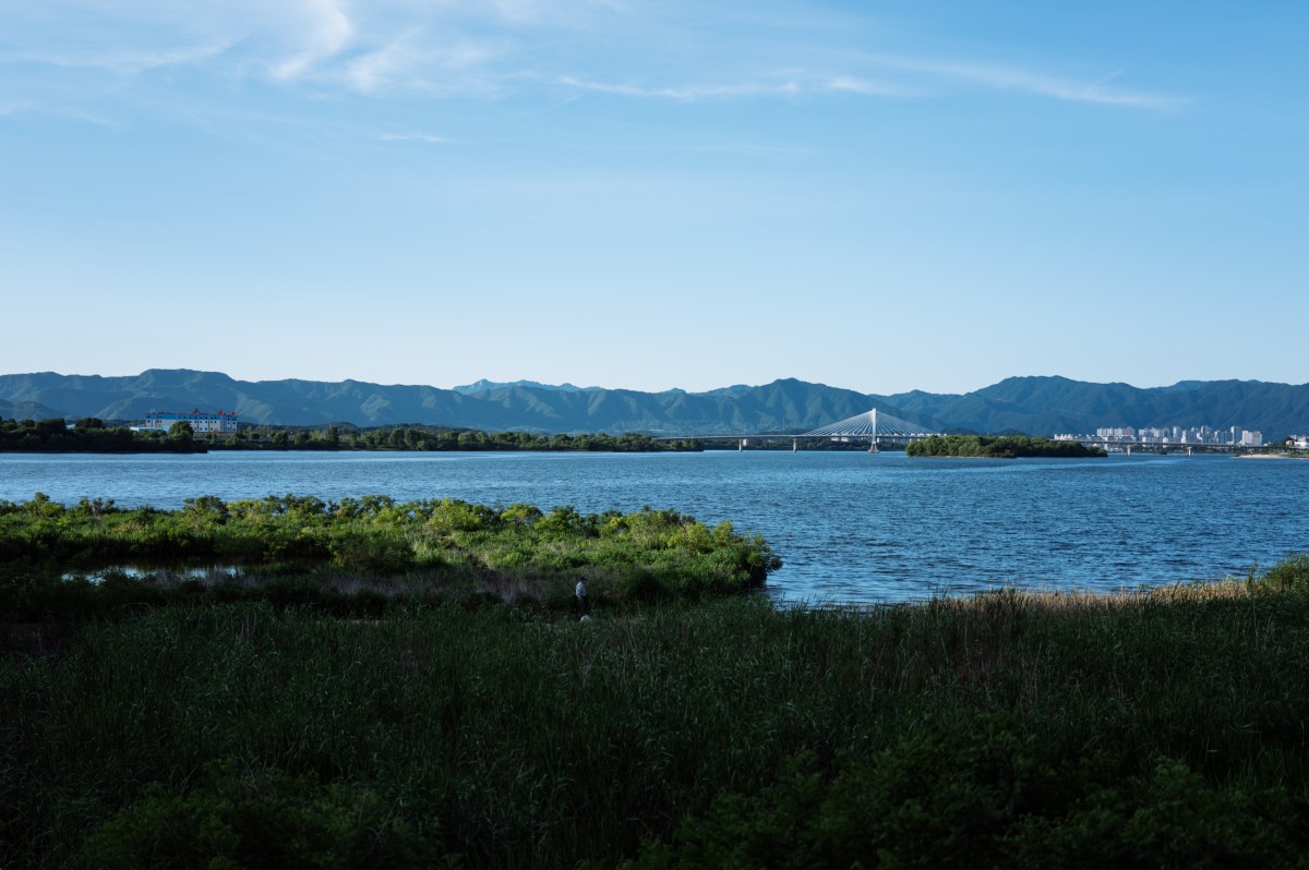 L1004430-2.jpg