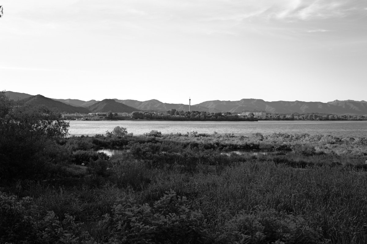 L1004431.jpg