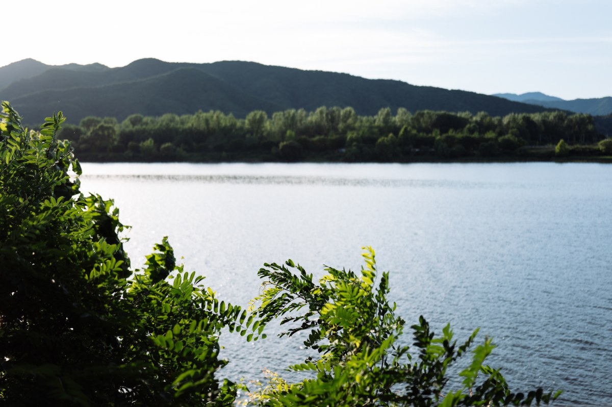 L1004445.jpg