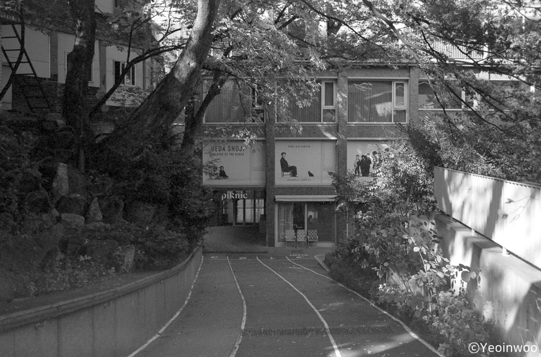 Scan-241110-0015_.jpg
