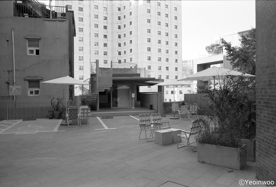 Scan-241110-0017_.jpg