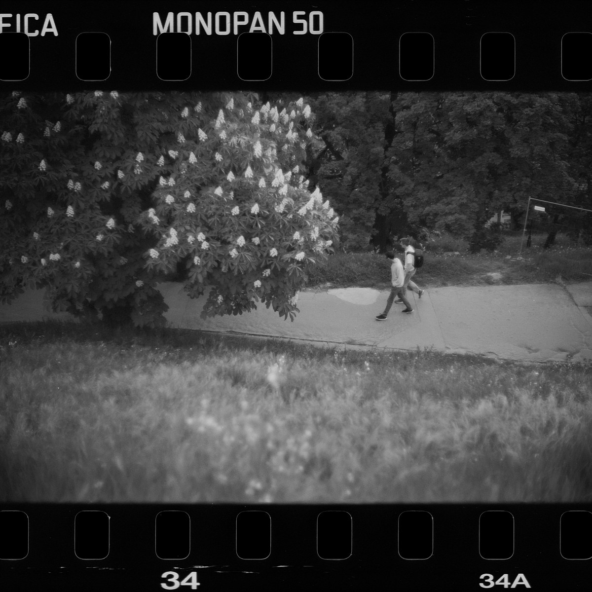 034.jpg