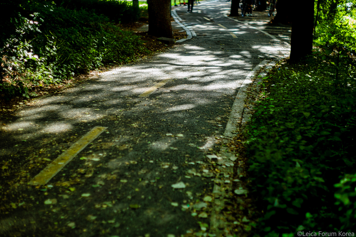 Leica-m9p-summilux50.4-1-23.jpg