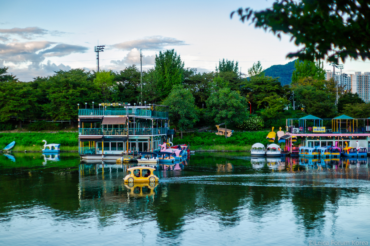 Leica-m9p-summilux50.4-1-31.jpg