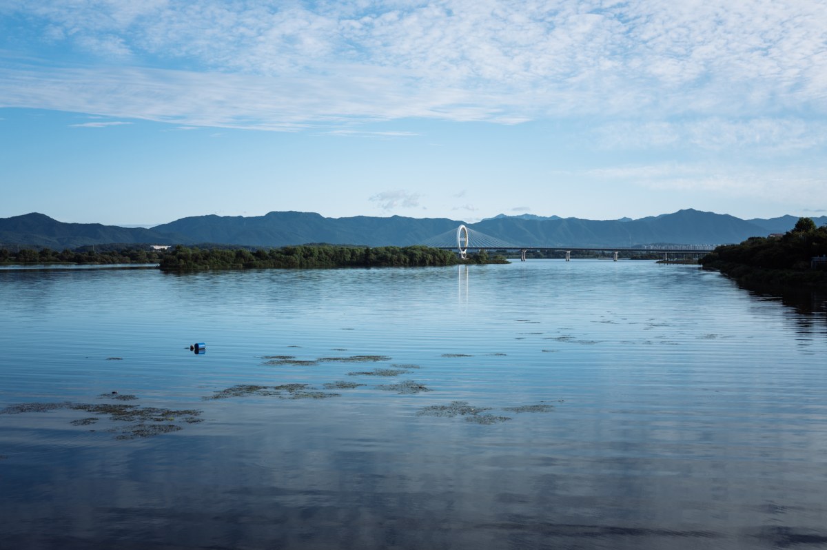 L1006684.jpg