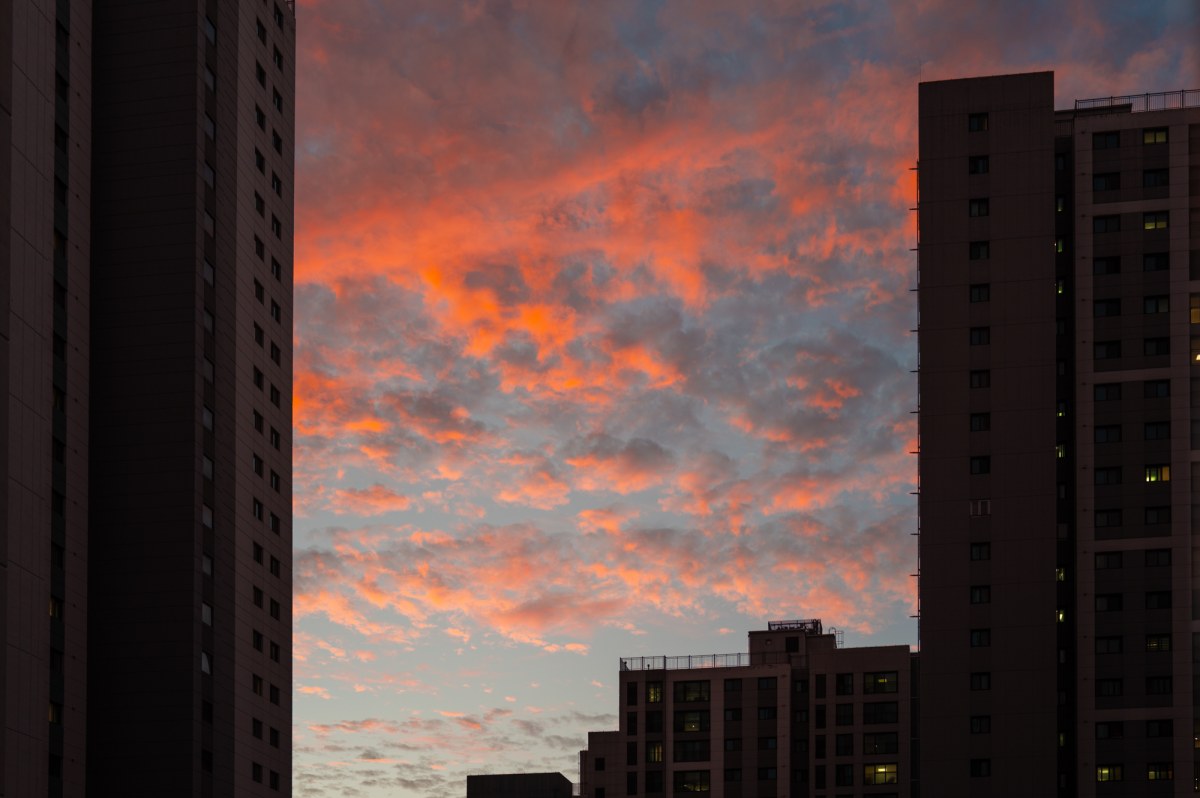 L1006801.jpg