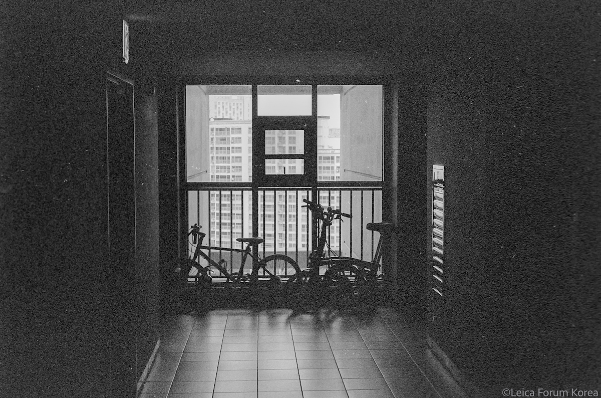 Leica-m5-hp5-50DR-1-3.jpg