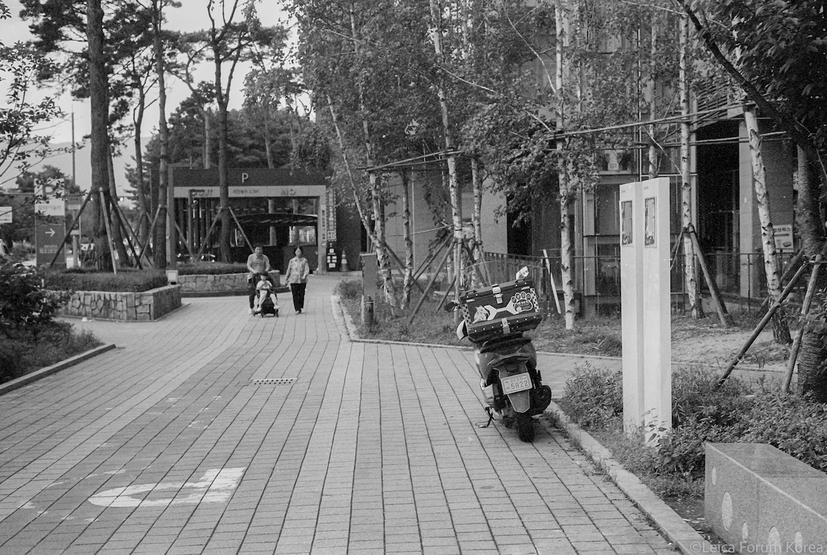Leica-m5-hp5-50DR-1-5.jpg