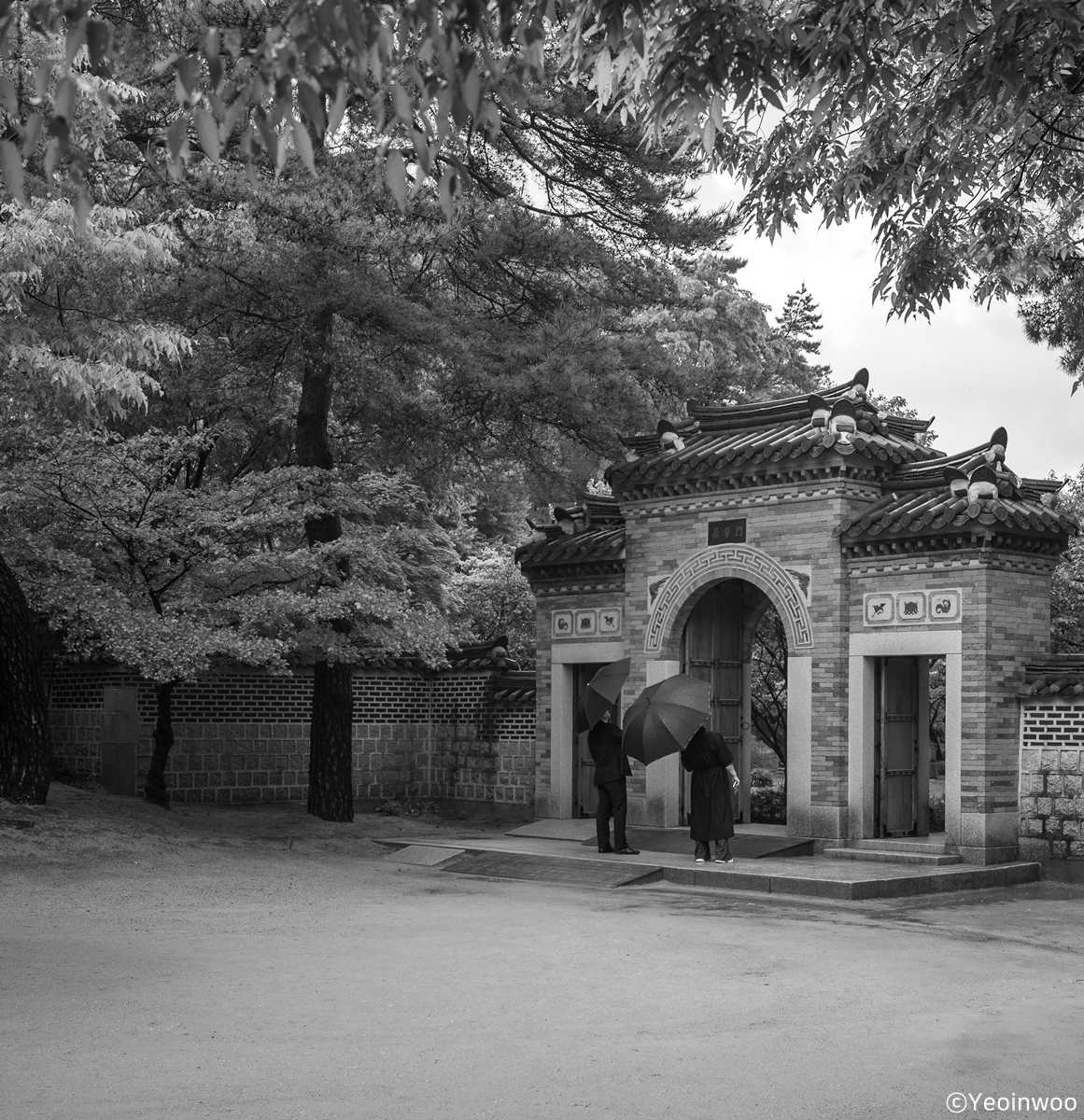 L1004875_bw_.jpg
