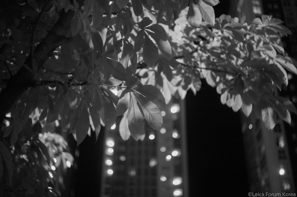 Leica-m9mono-50rigid-1-3.jpg