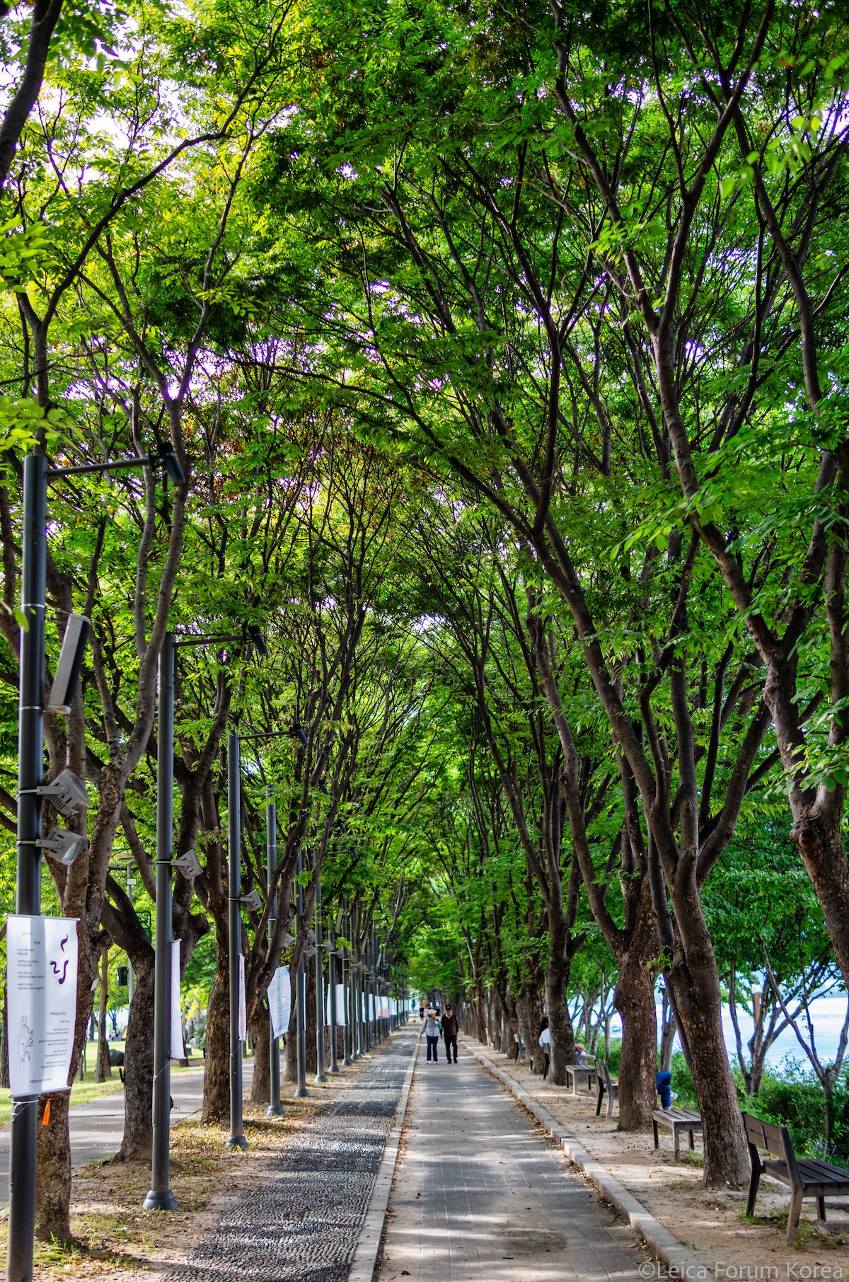 Leica-T-sigma30.4-1-6.jpg