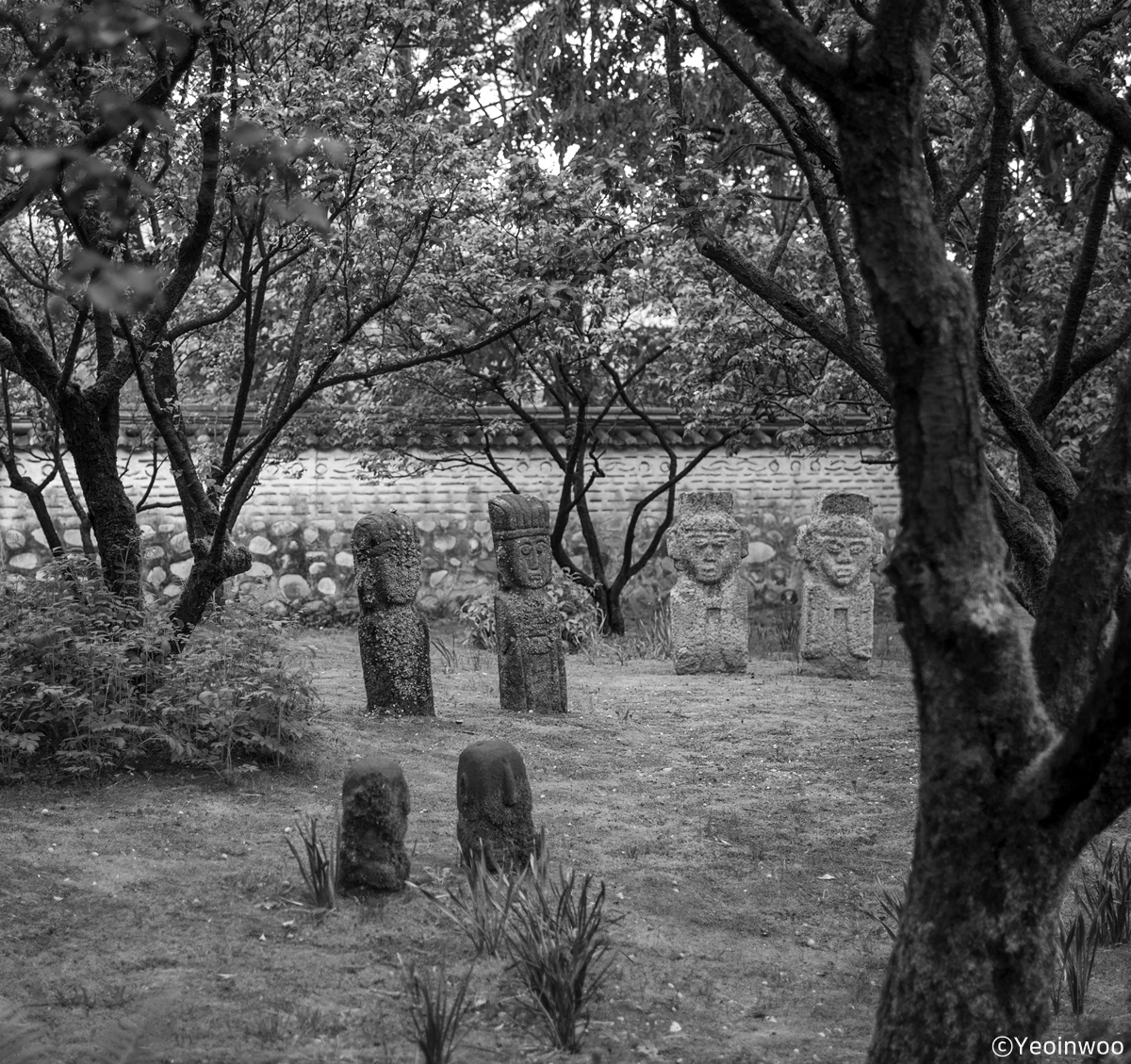 L1004883_bw.jpg