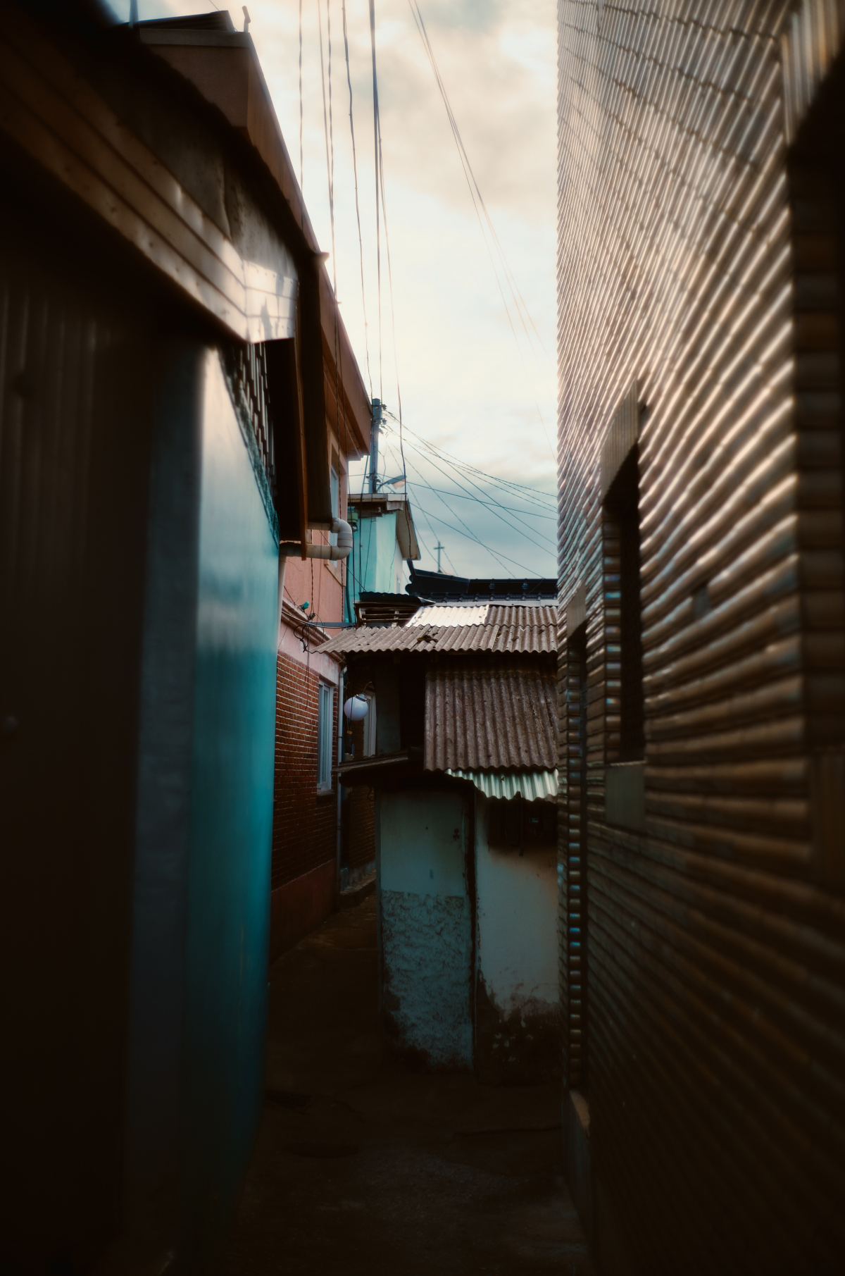 L1009317.jpeg