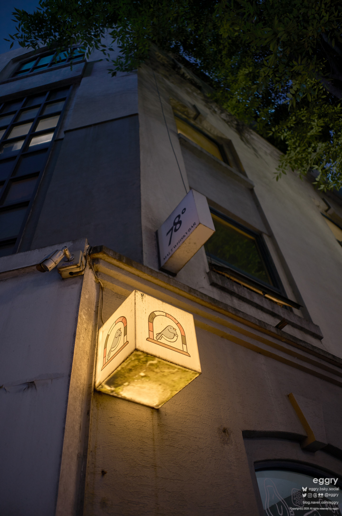 20260914-18-58-59-LEICA M11-Summicron-M 1-2-28 ASPH.-L1000948.jpg