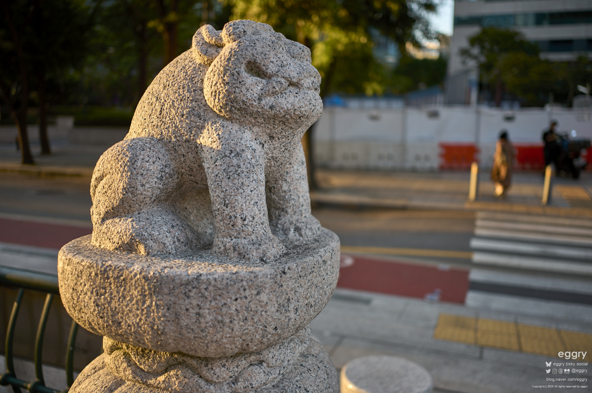 20260914-18-14-43-LEICA M11-Summicron-M 1-2-28 ASPH.-L1000940.jpg
