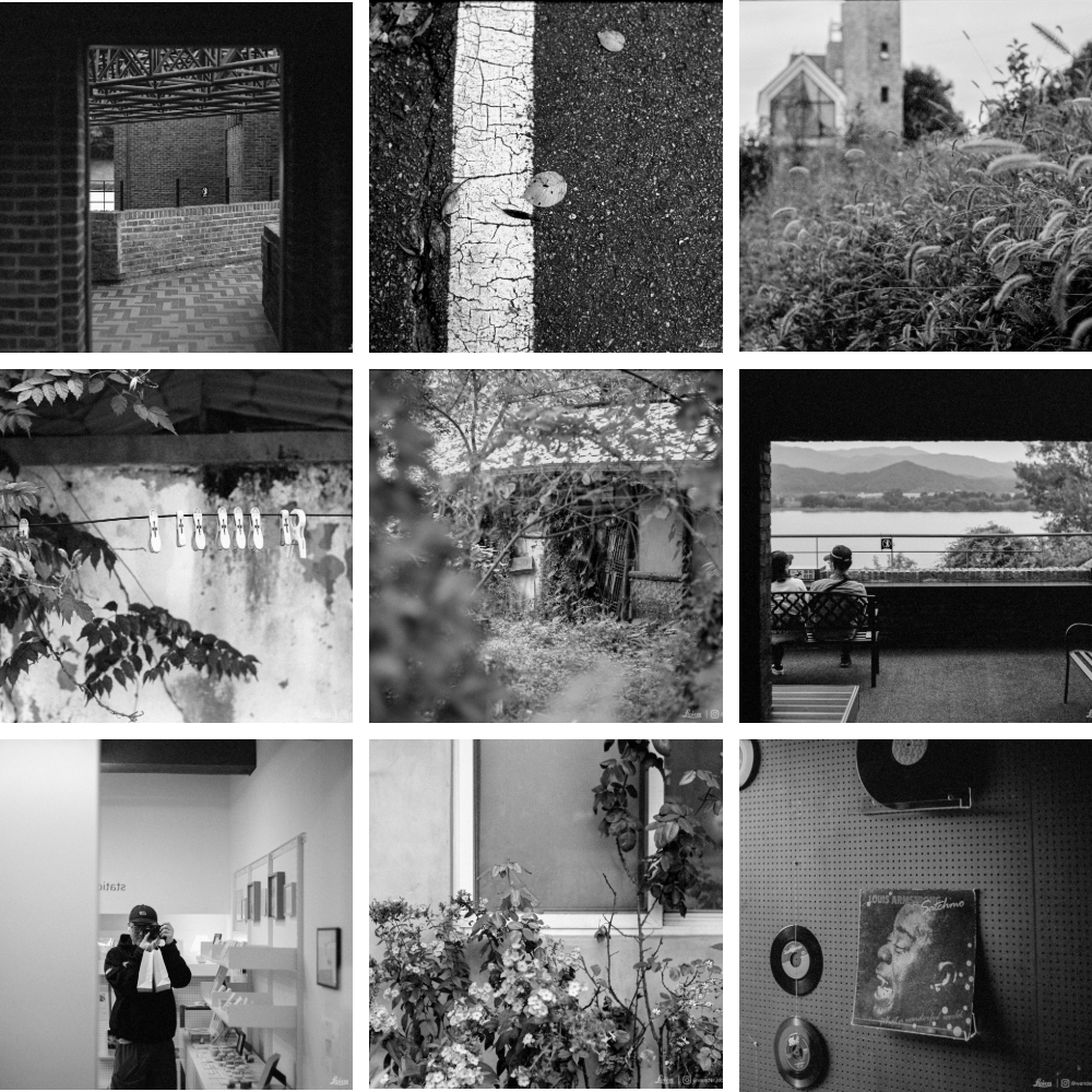 Express-collage.png