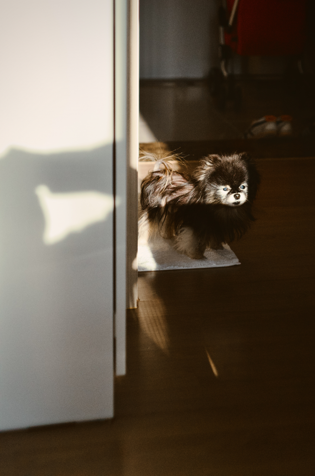 L1001292.jpeg