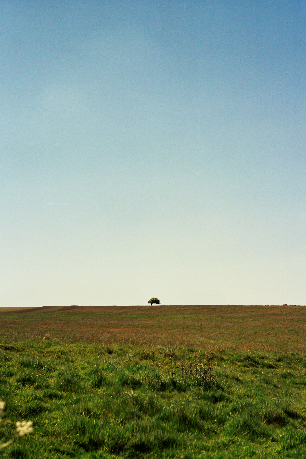 _7A_0271.jpg
