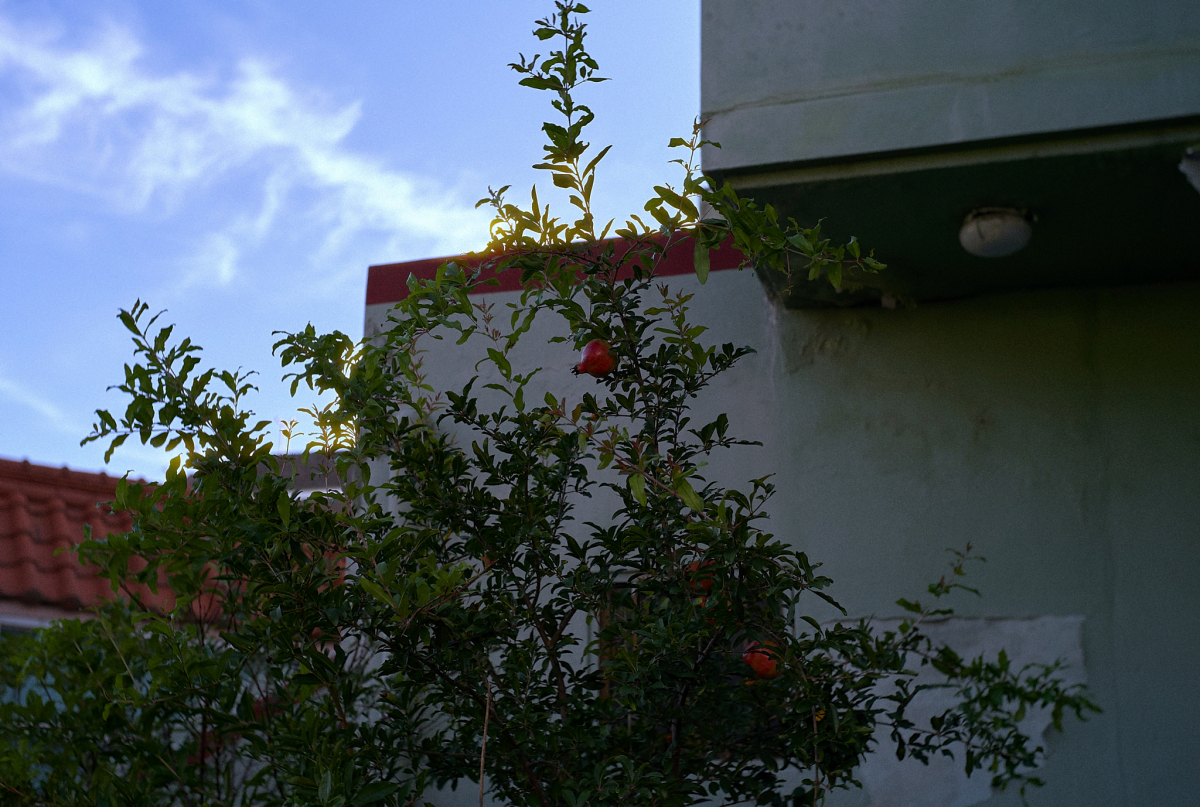 L1000830 1.jpg