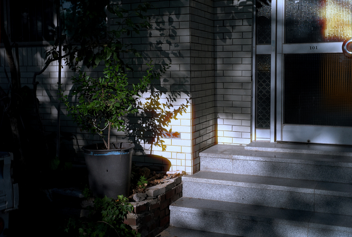 L1000826 1.jpg