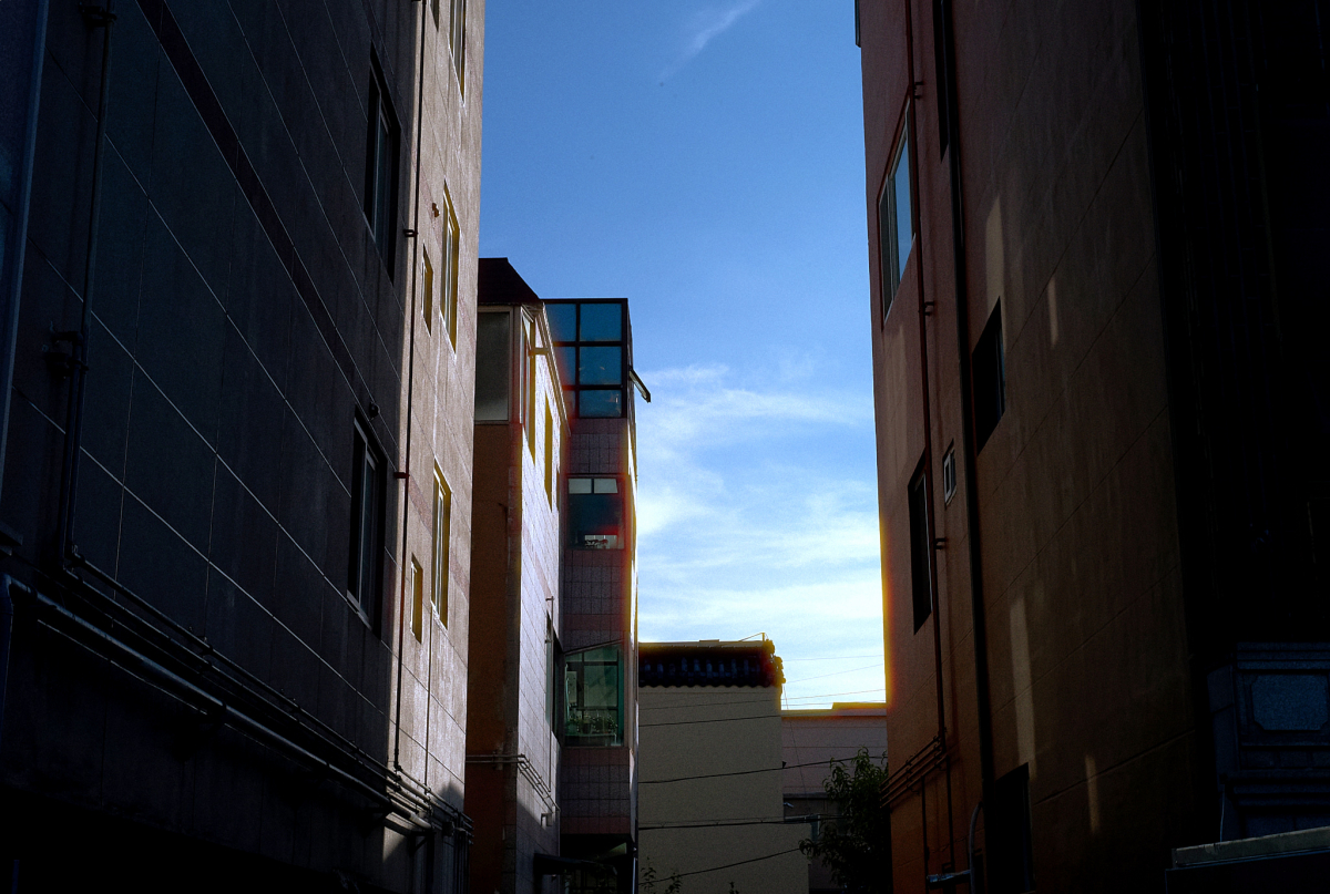 L1000831 1.jpg