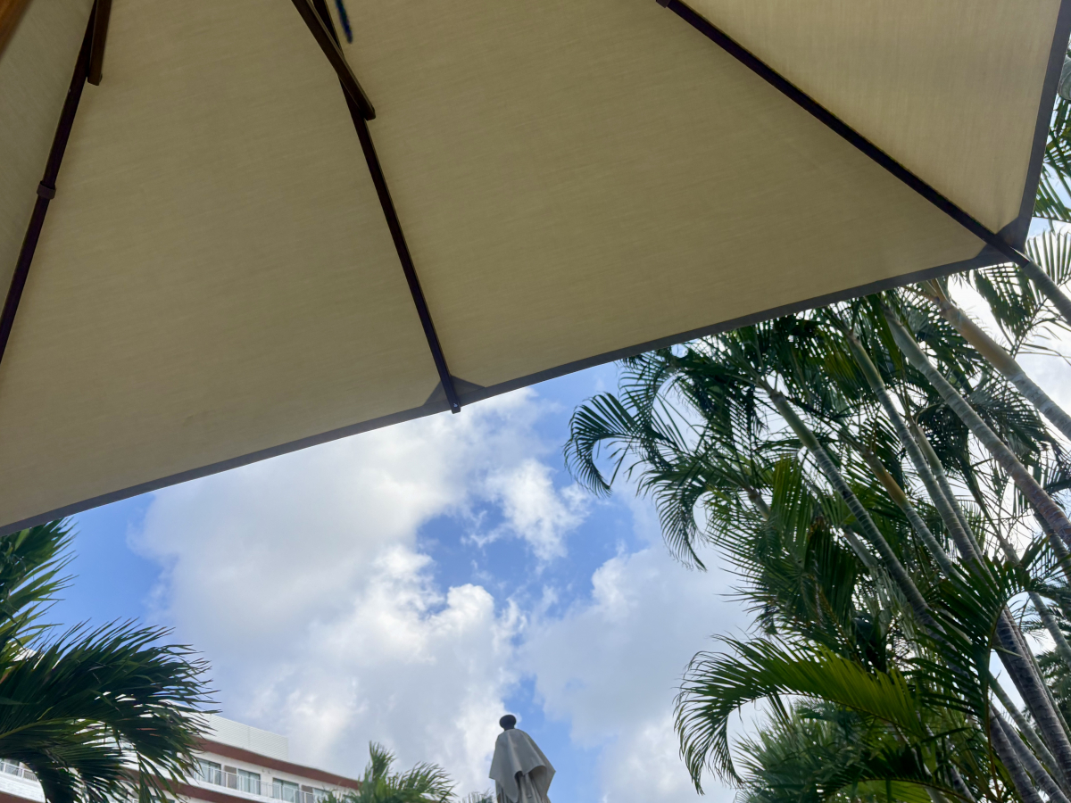 IMG_4354.jpeg