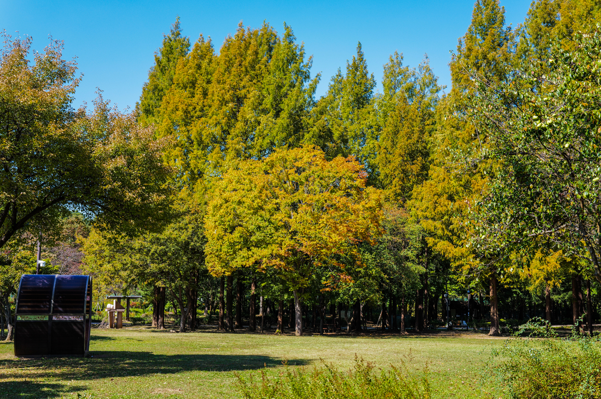 L1007493.jpg