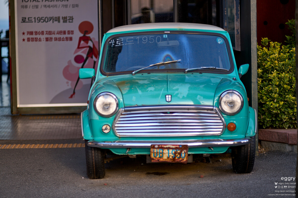 20261009-16-51-59-LEICA M11-MS-Optics Flourit Apochromat Full March-C APORIS 2.4-135-L1001368.jpg