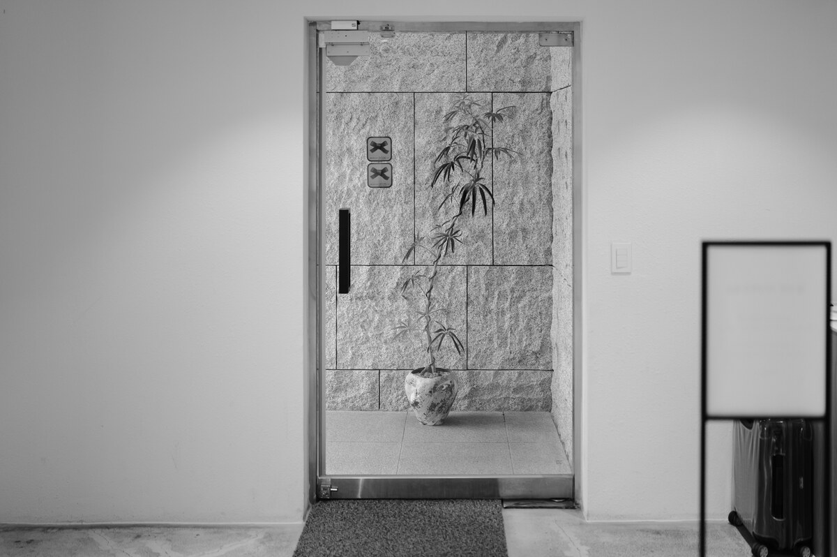 L1007788.jpg