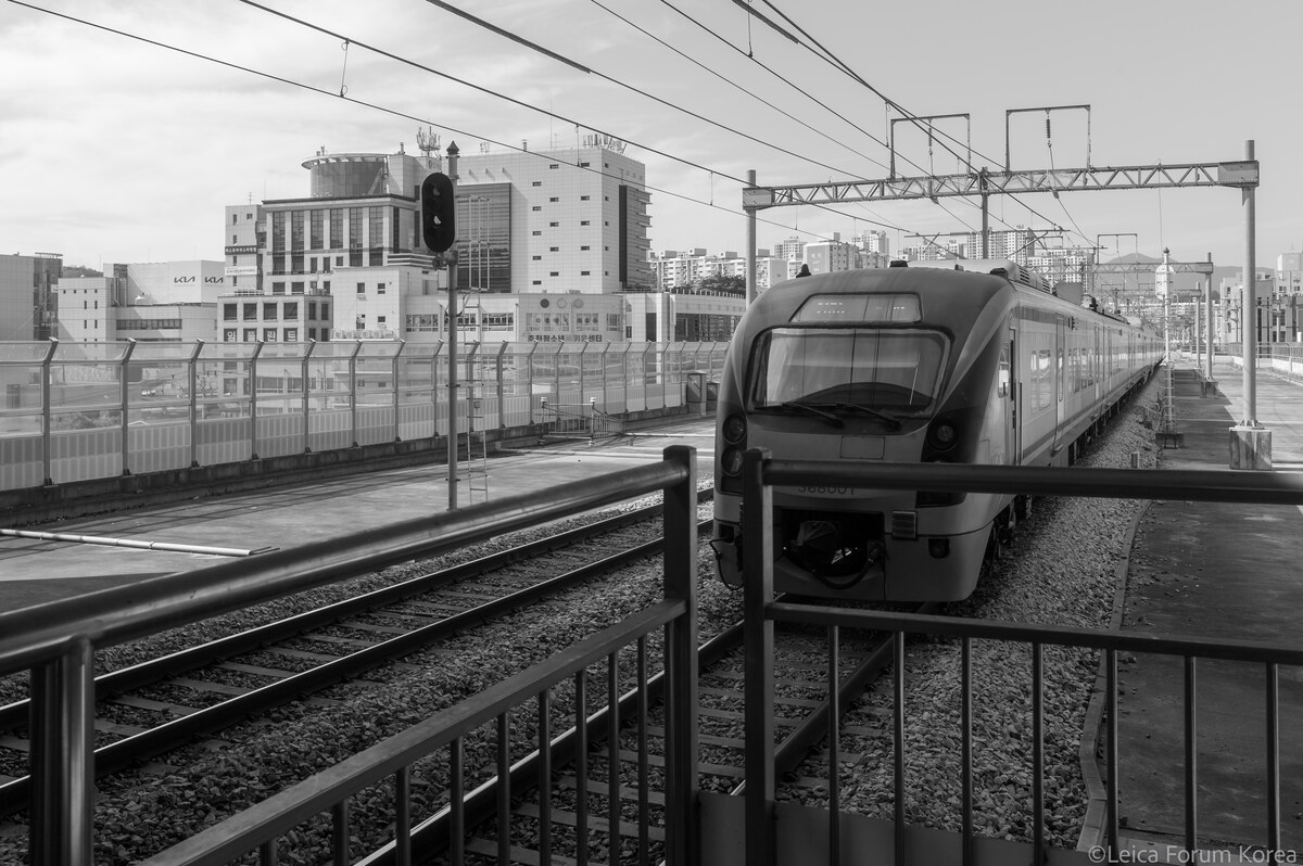 leica-mmono-rokkor28-1-6.jpg