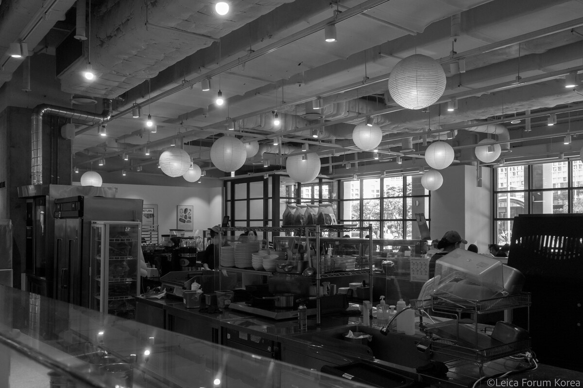 leica-mmono-rokkor28-1-24.jpg