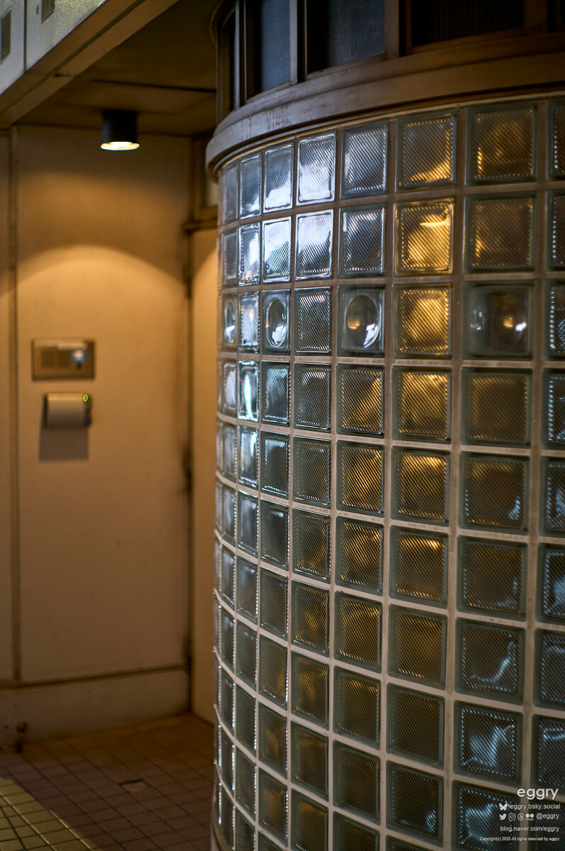 20261002-00-06-34-LEICA M11-Summilux-M 1-1.4-50-L1001602.jpg