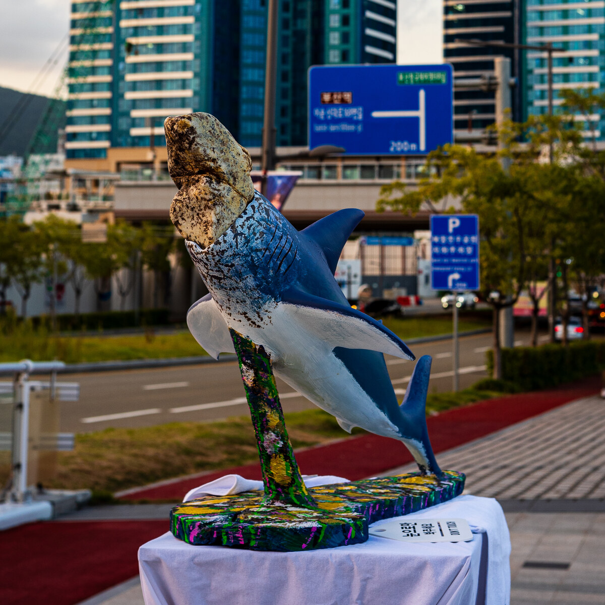 L1210645-1920.jpg