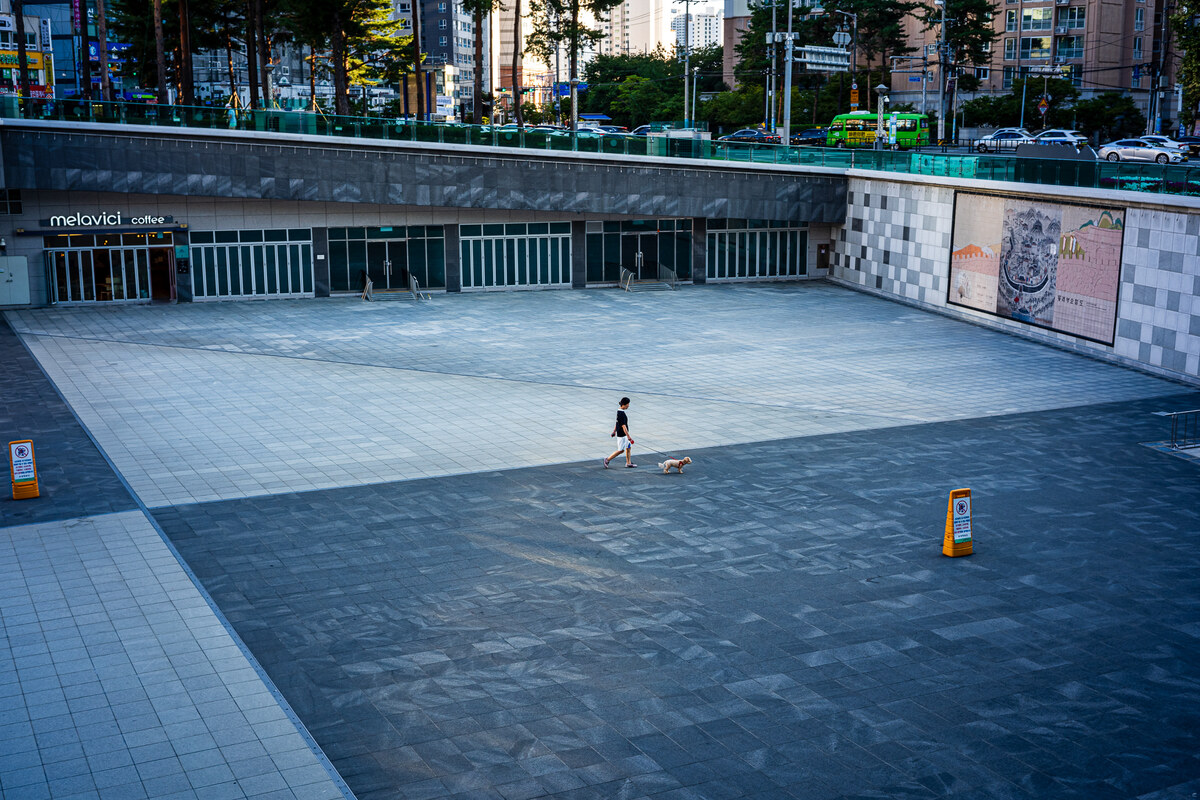 L1220051.jpg