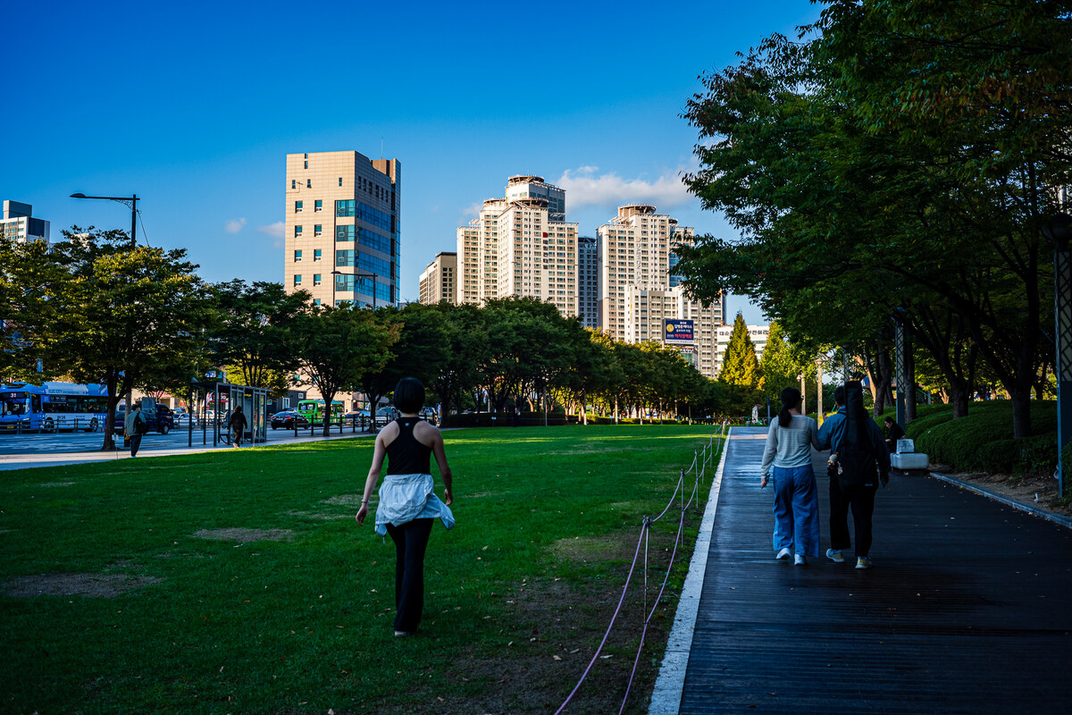 L1220103.jpg