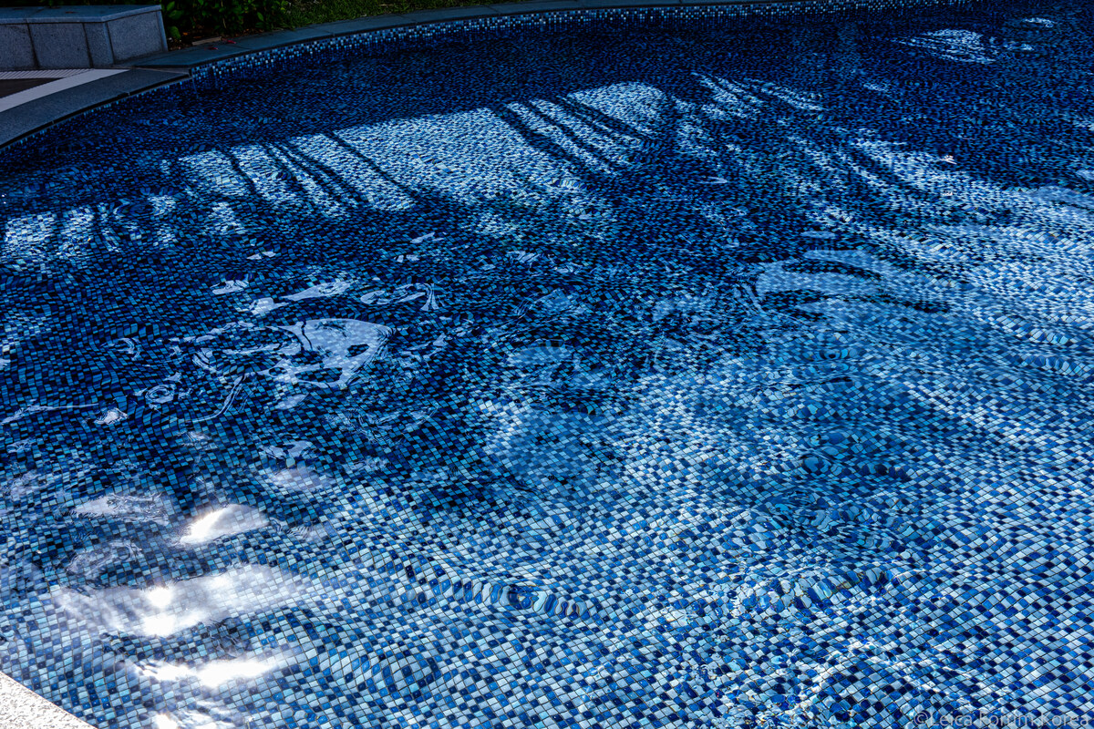 leica-sl2s-lumix28200-okinawa-amevil-1-224.jpg